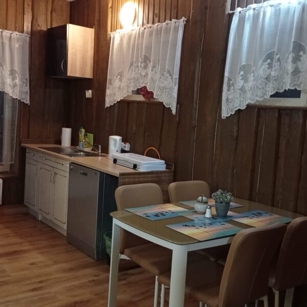 Dz1-ģimenes studija(virtuves zona)