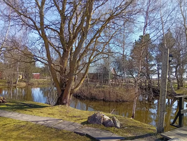 Piemājas dīķis